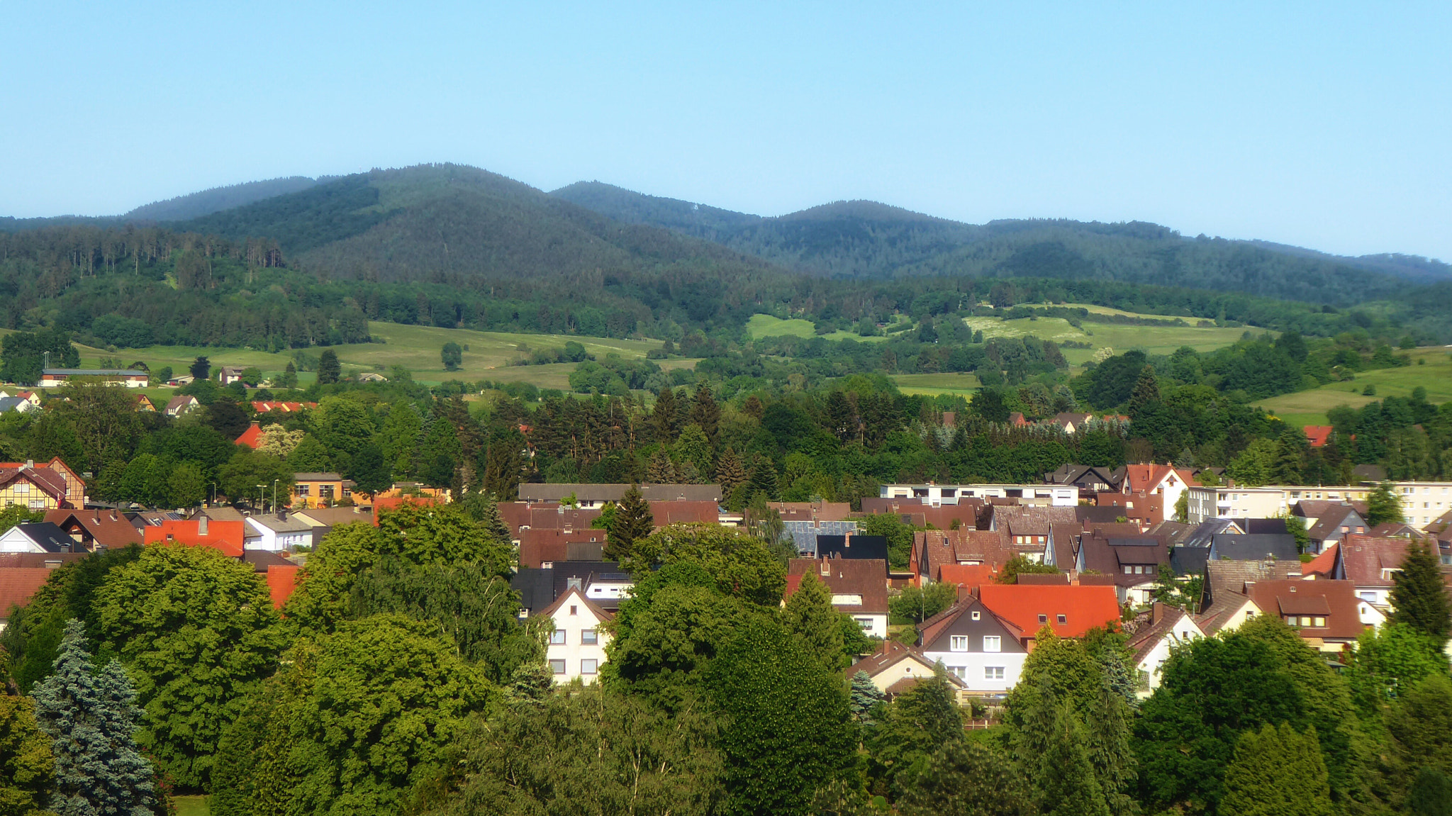 Panasonic DMC-TZ71 sample photo. Herzberg(harz) photography