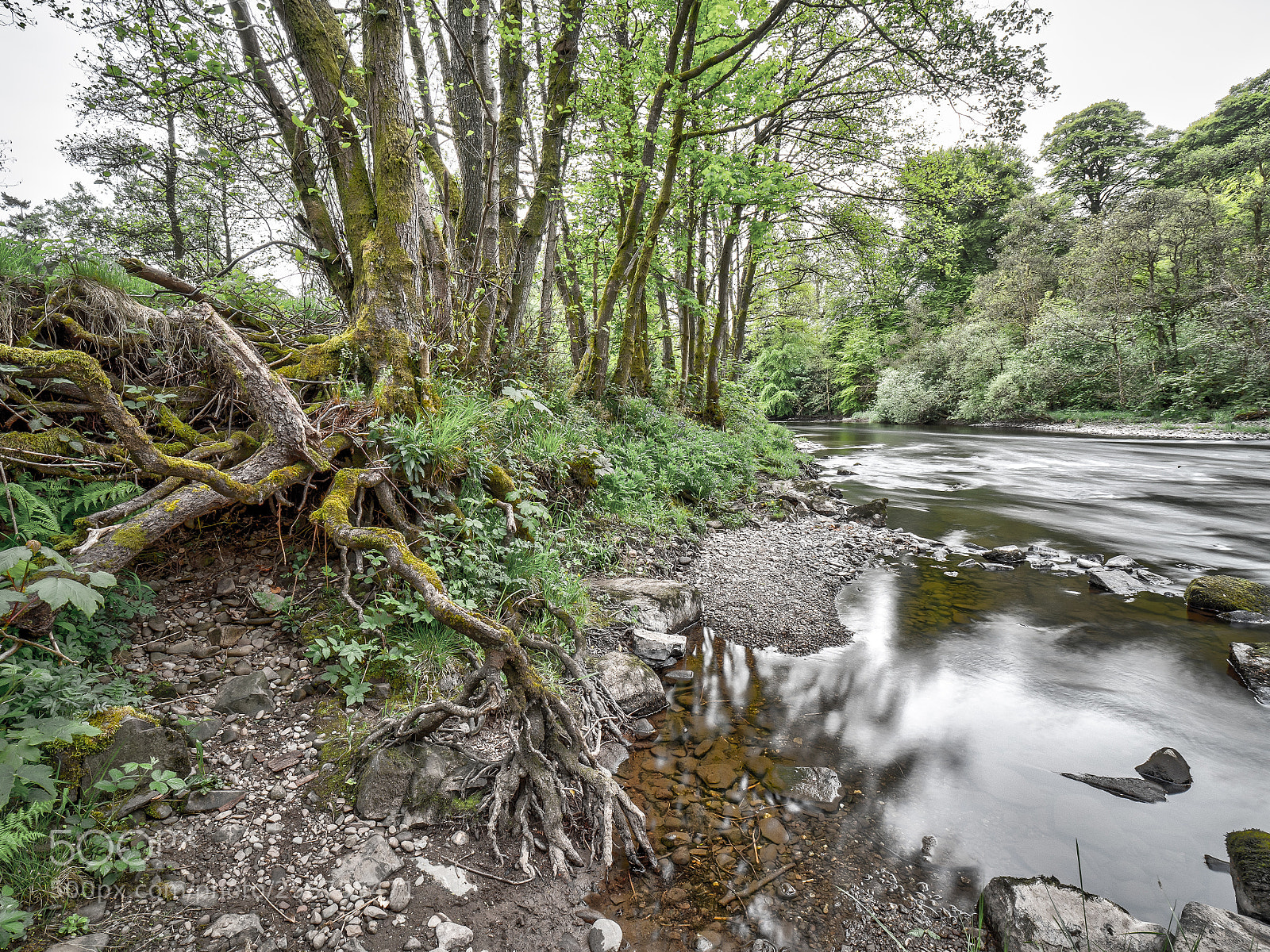 Olympus OM-D E-M5 II sample photo. Visiting scotland - back photography