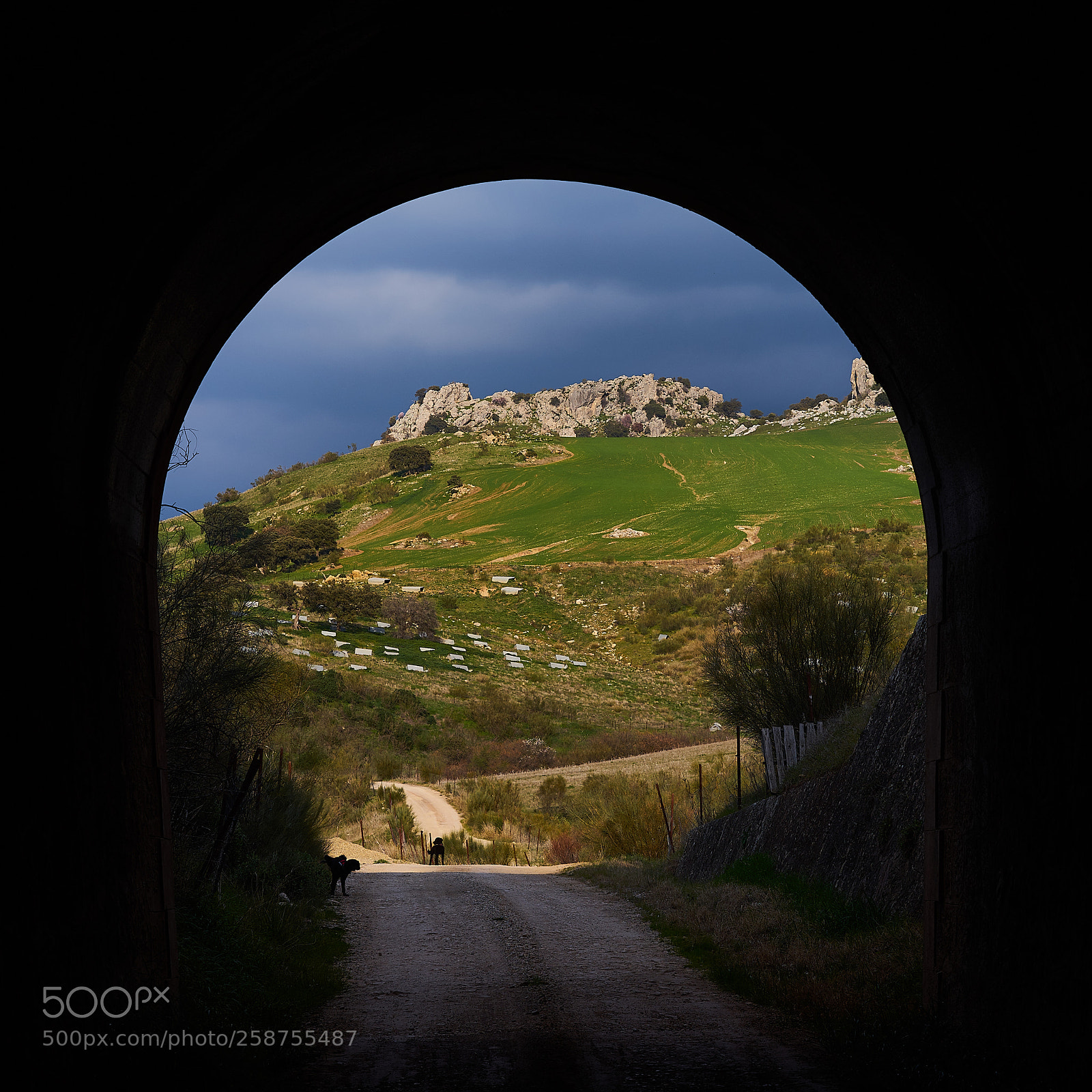 Sony a7 II sample photo. Aus dem tunnel photography