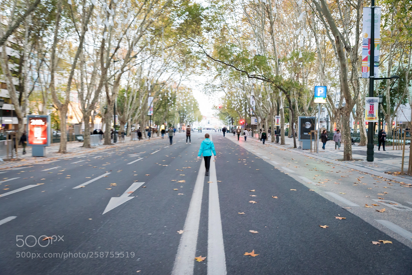 Nikon D750 sample photo. My way photography