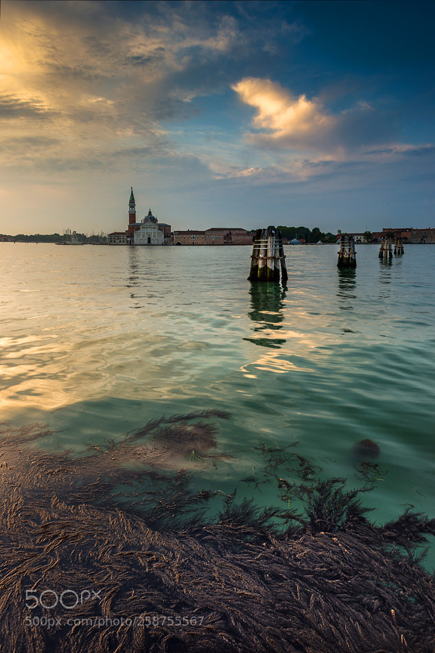 Nikon D800 sample photo. [ venice iii ] photography