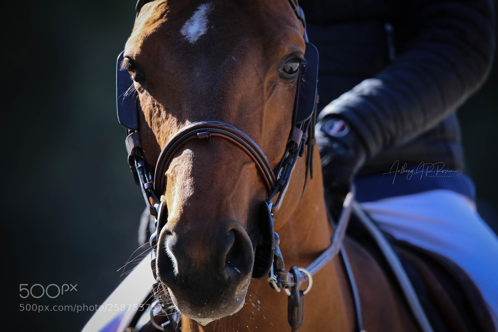 Canon EOS 6D sample photo. Img photography