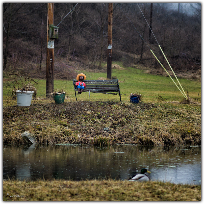 Leica M9 sample photo. Redneck pc fltd photography