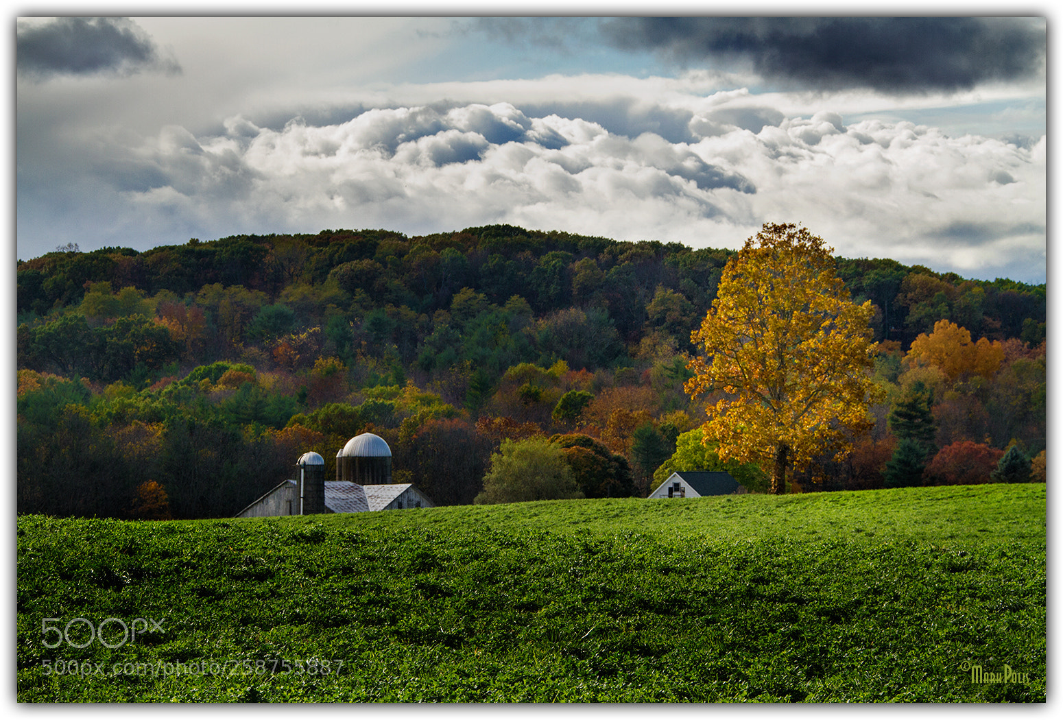 Canon EOS 7D sample photo. Rte warriors path scene photography