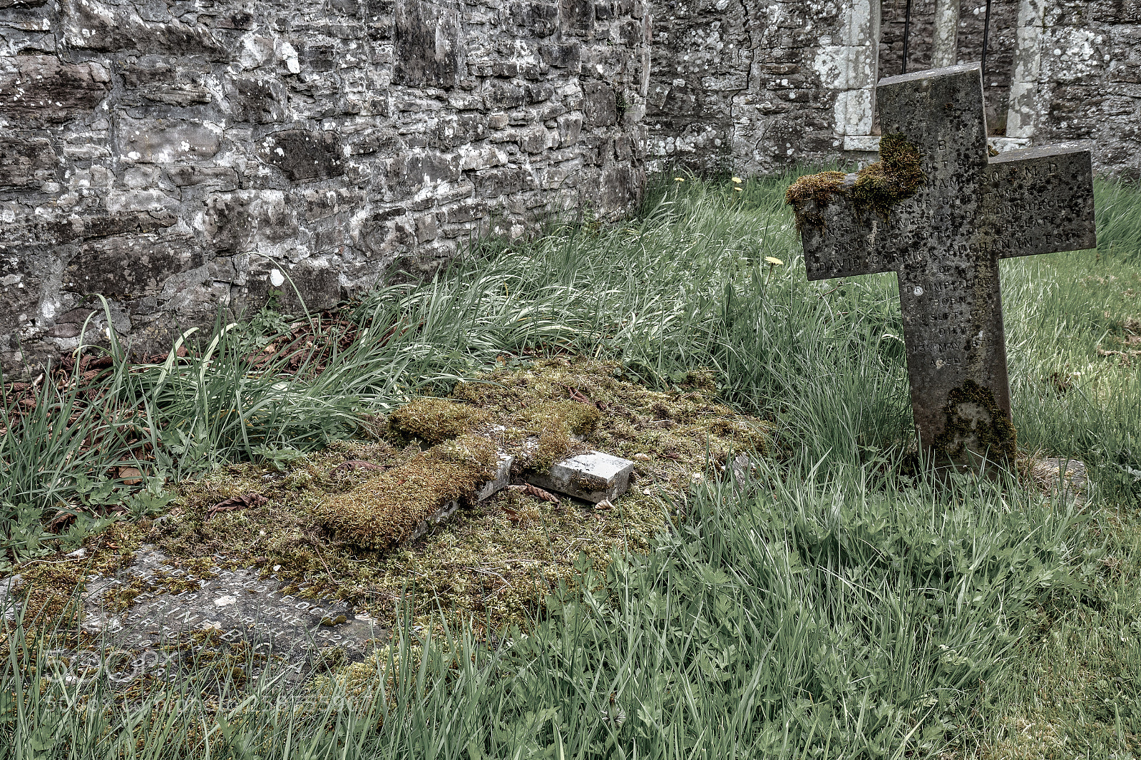 Olympus OM-D E-M5 II sample photo. Visiting scotland - tumbstones photography
