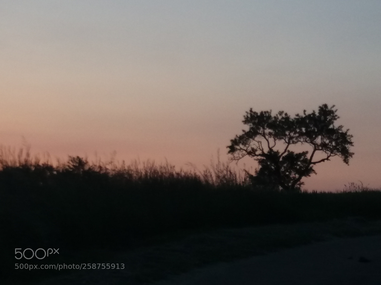 Samsung Galaxy J5(2016) sample photo. Coucher de soleil photography