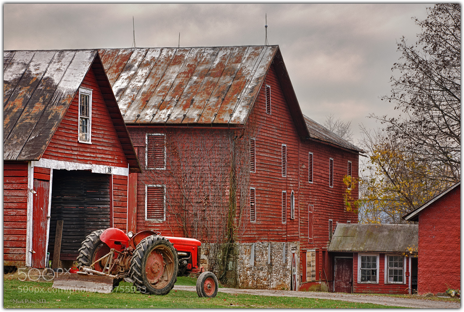 Canon EOS-1Ds Mark III sample photo. Seeing red hdr fltd photography