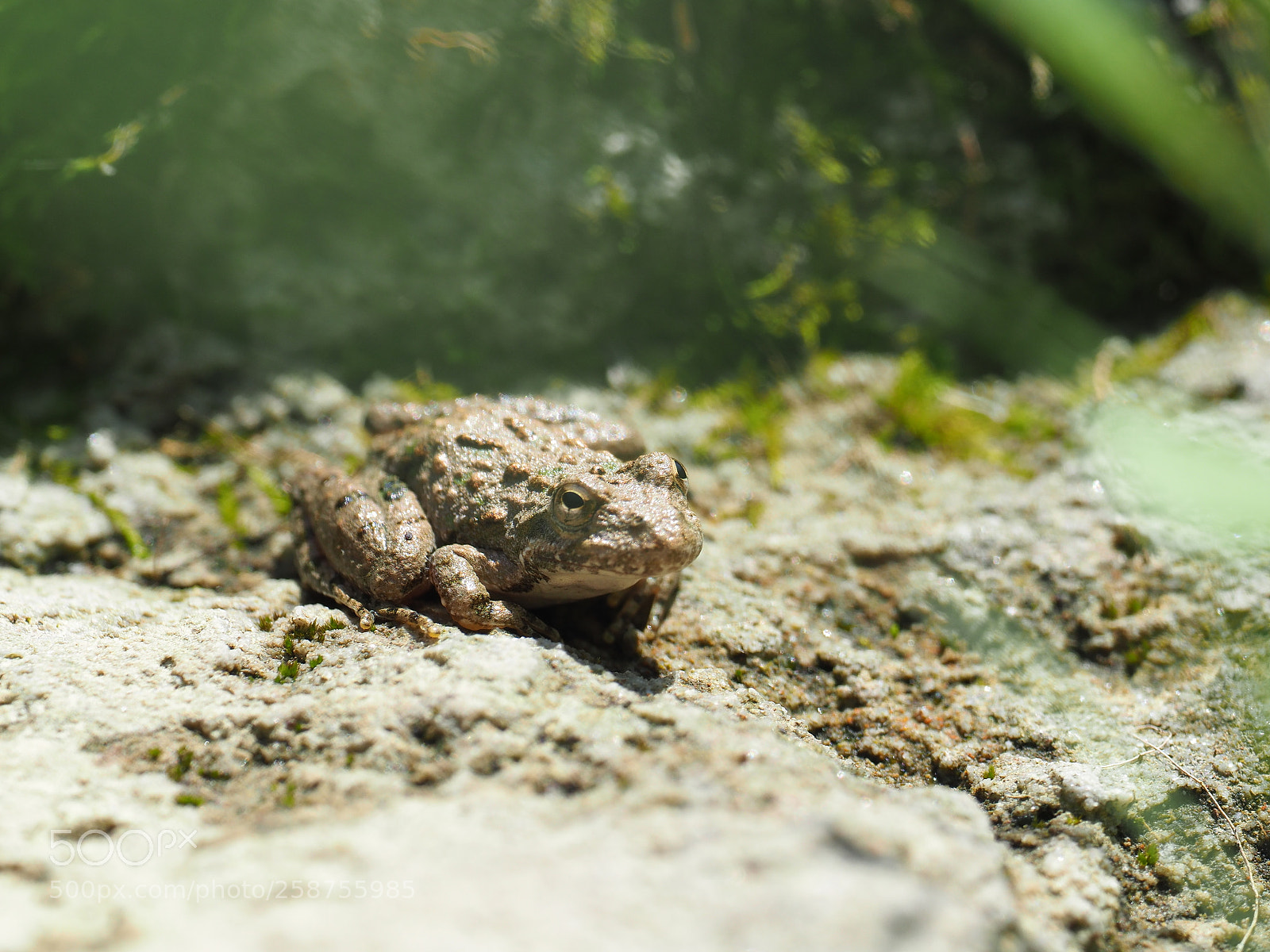 Olympus OM-D E-M1 Mark II sample photo. Olympus digital camera photography
