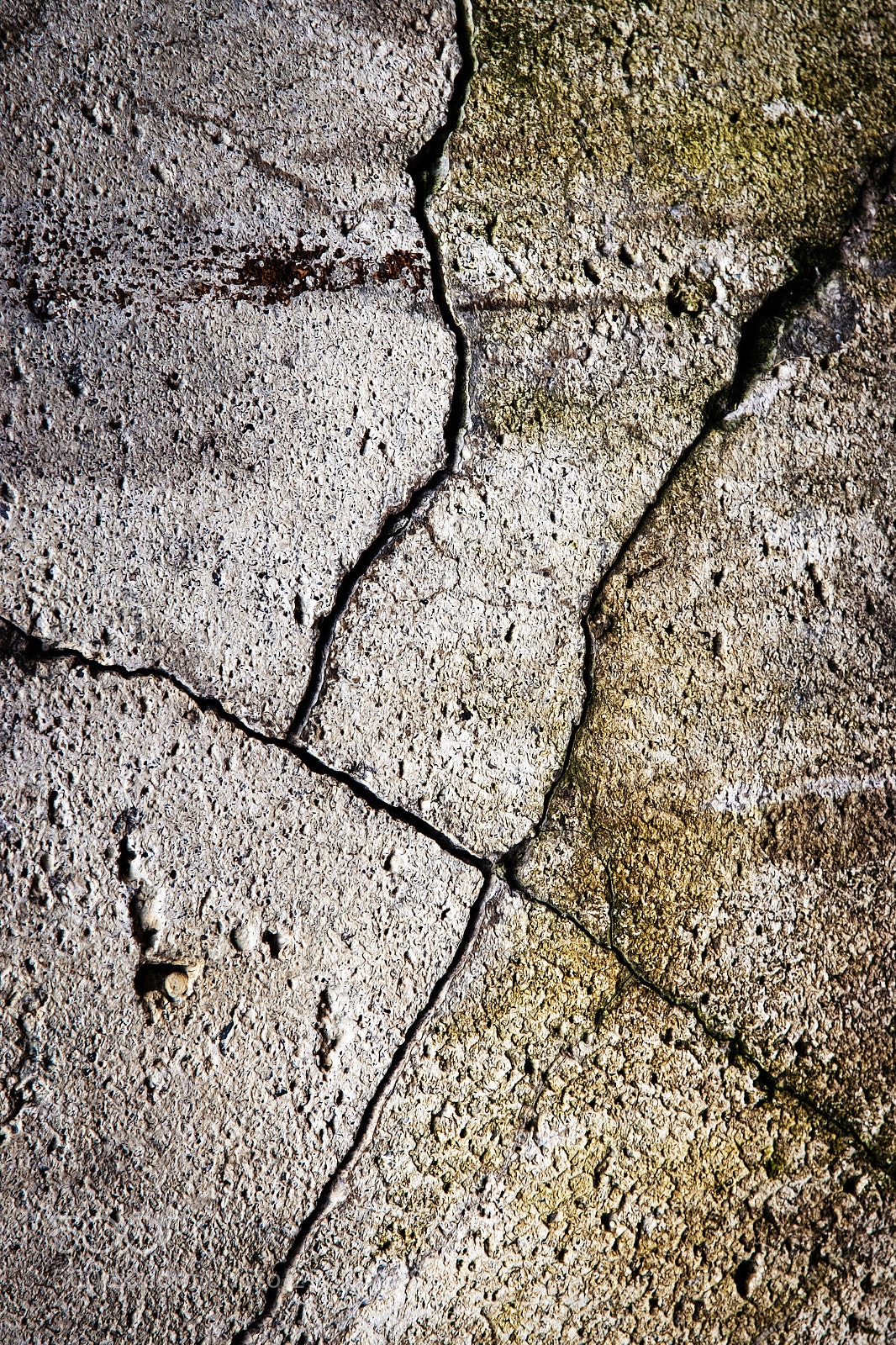 Nikon D5500 sample photo. Dirty popping concrete surface photography
