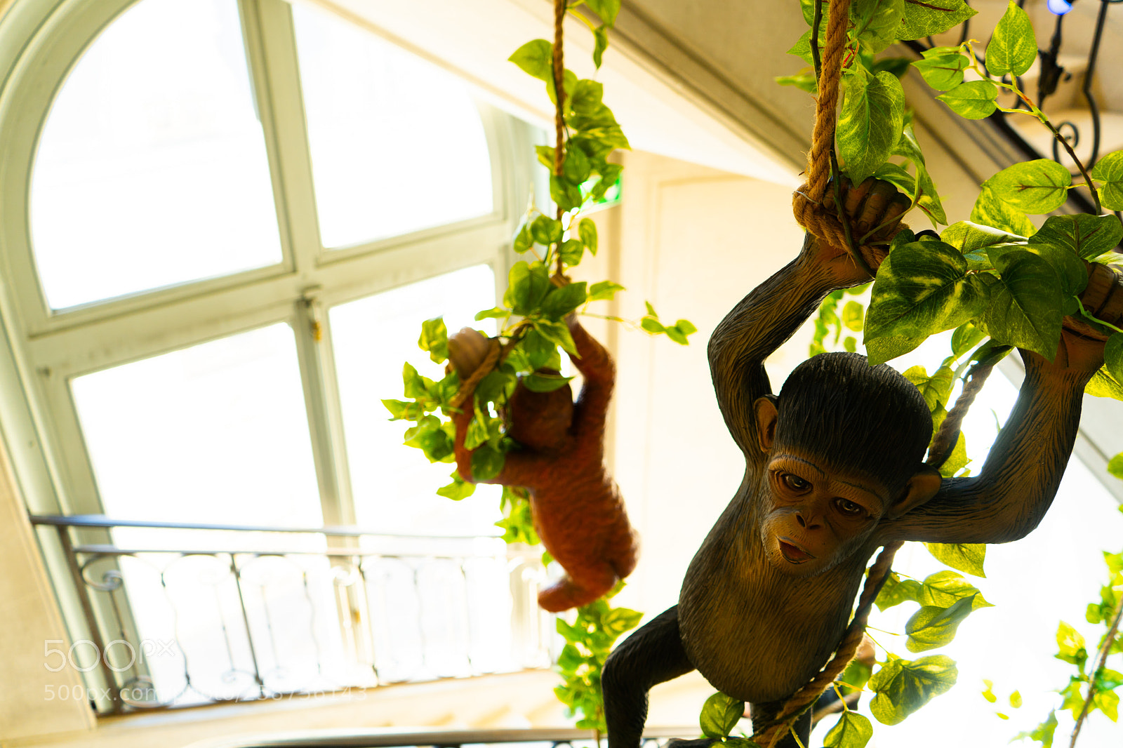 Sony a7 III sample photo. Monkeys beside a window photography