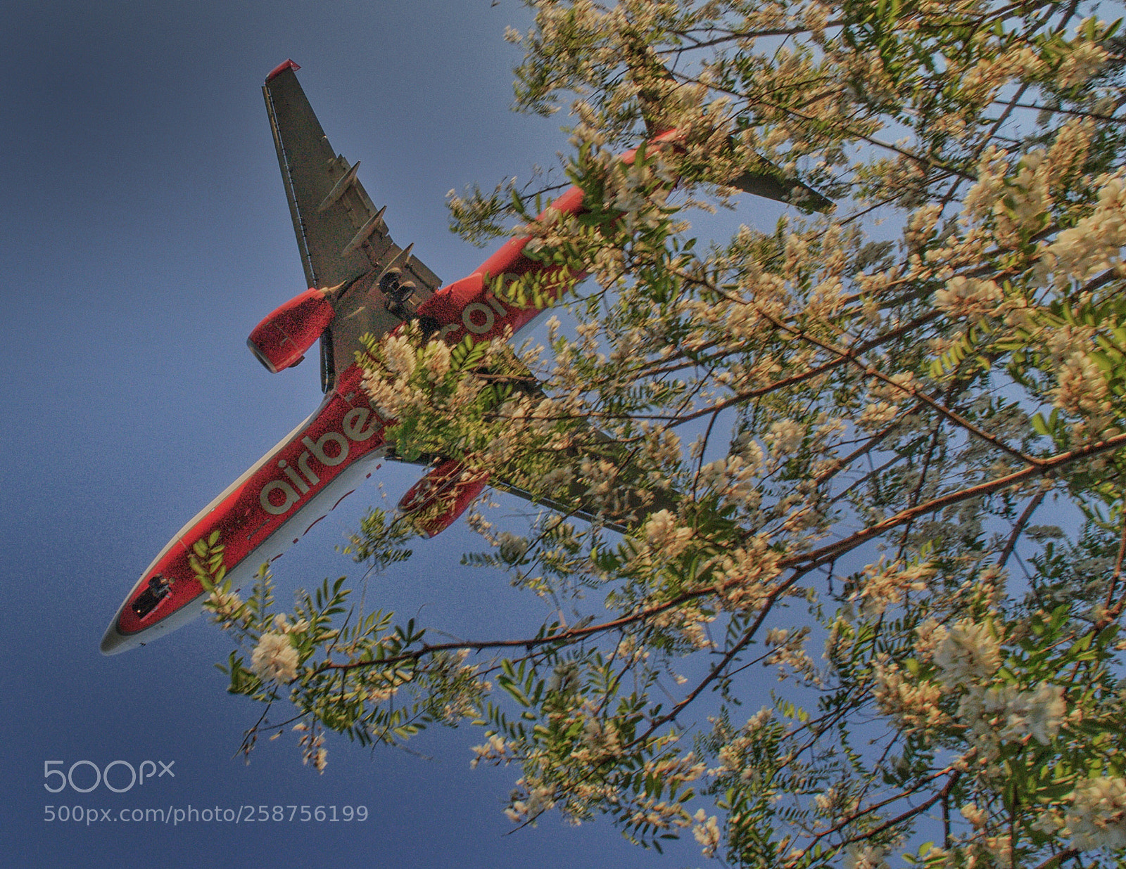 Nikon D90 sample photo. Air berlin is still photography