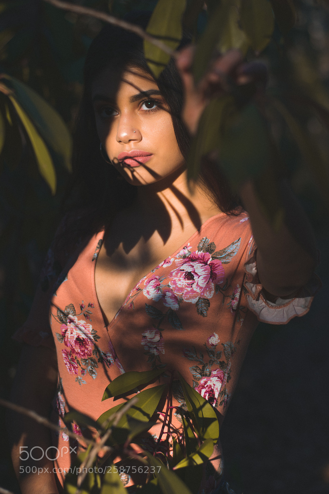 Nikon D3400 sample photo. Beauty between the leaves photography