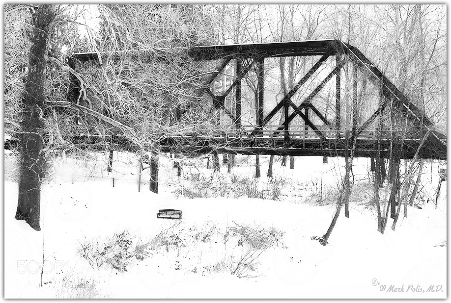 Canon EOS 50D sample photo. Winter bridge hk fltd photography