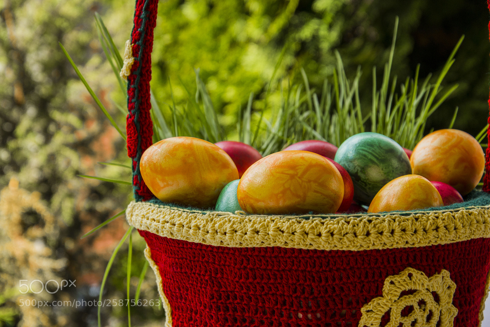 Nikon D3100 sample photo. Easter photography