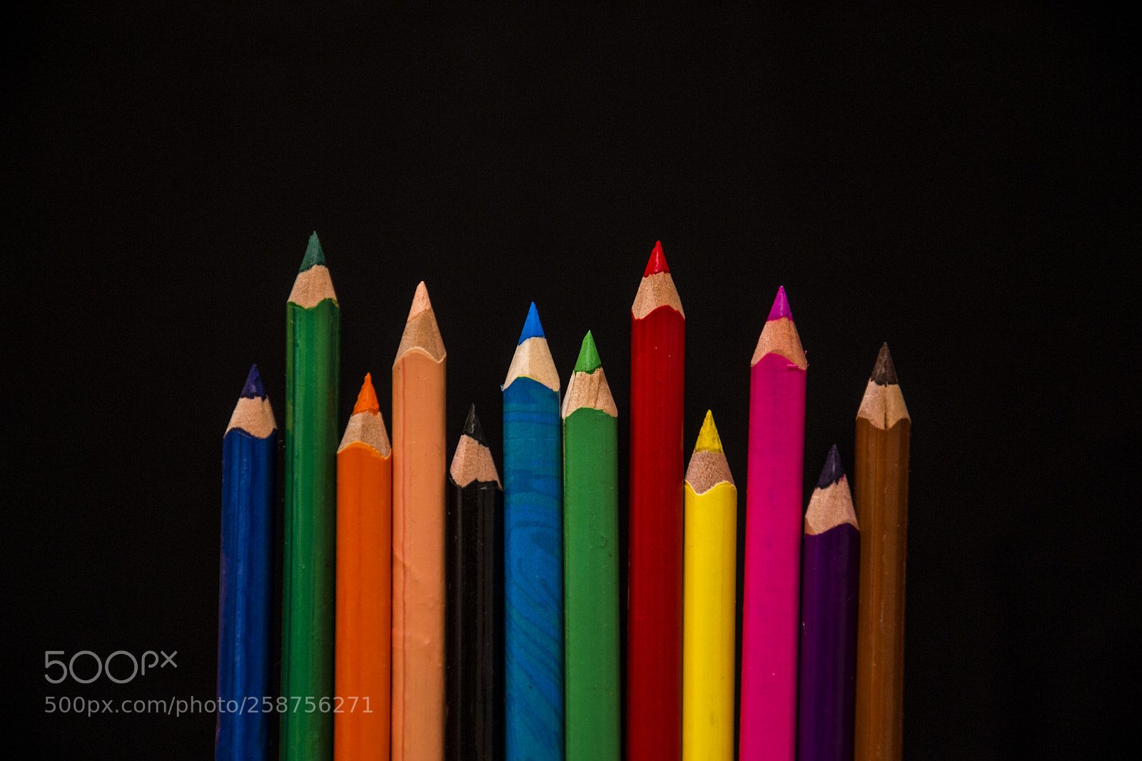 Nikon D3100 sample photo. Coloured pencil photography