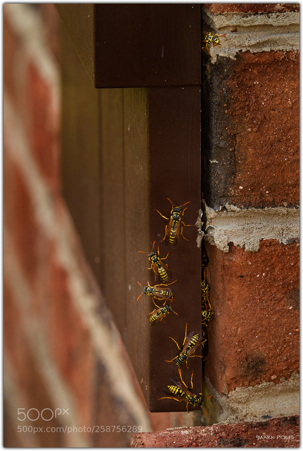 Canon EOS 7D sample photo. Yellowjacket enclave a fltd photography