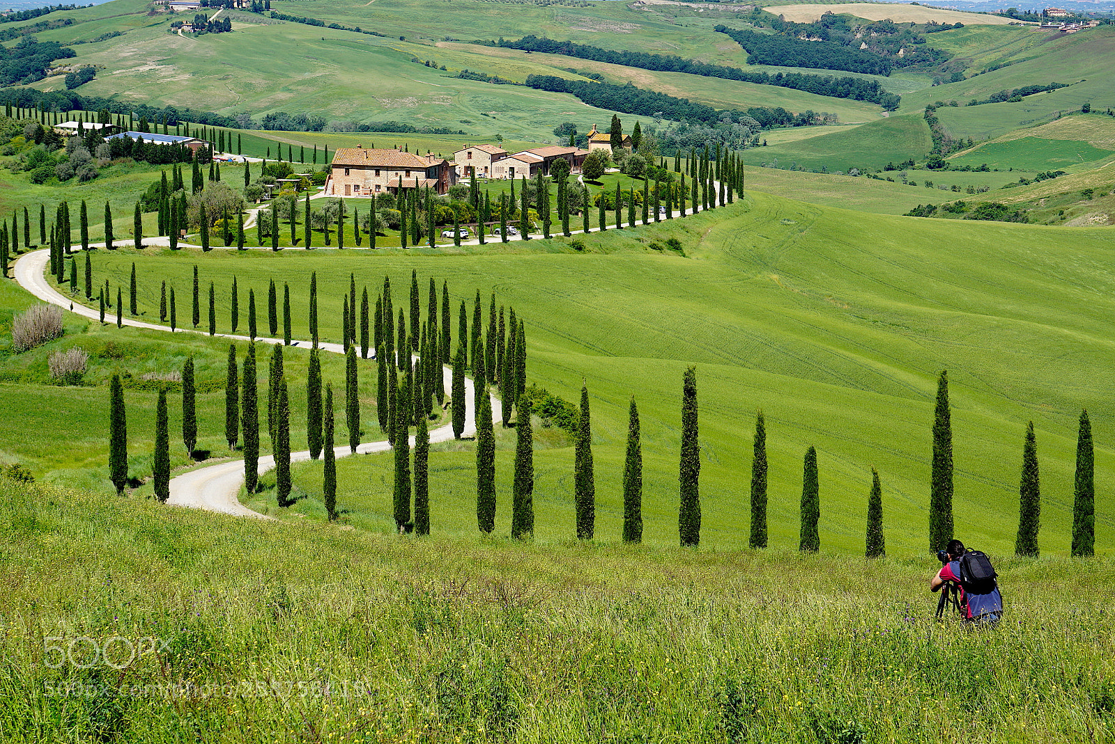 Sony a6000 sample photo. Senza totolo photography