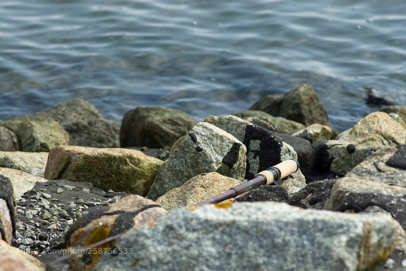 Sony SLT-A77 sample photo. Where is the fish? photography