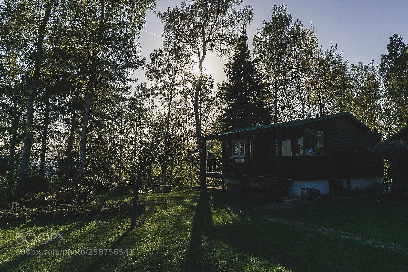 Sony a6000 sample photo. Cabin in the forest photography