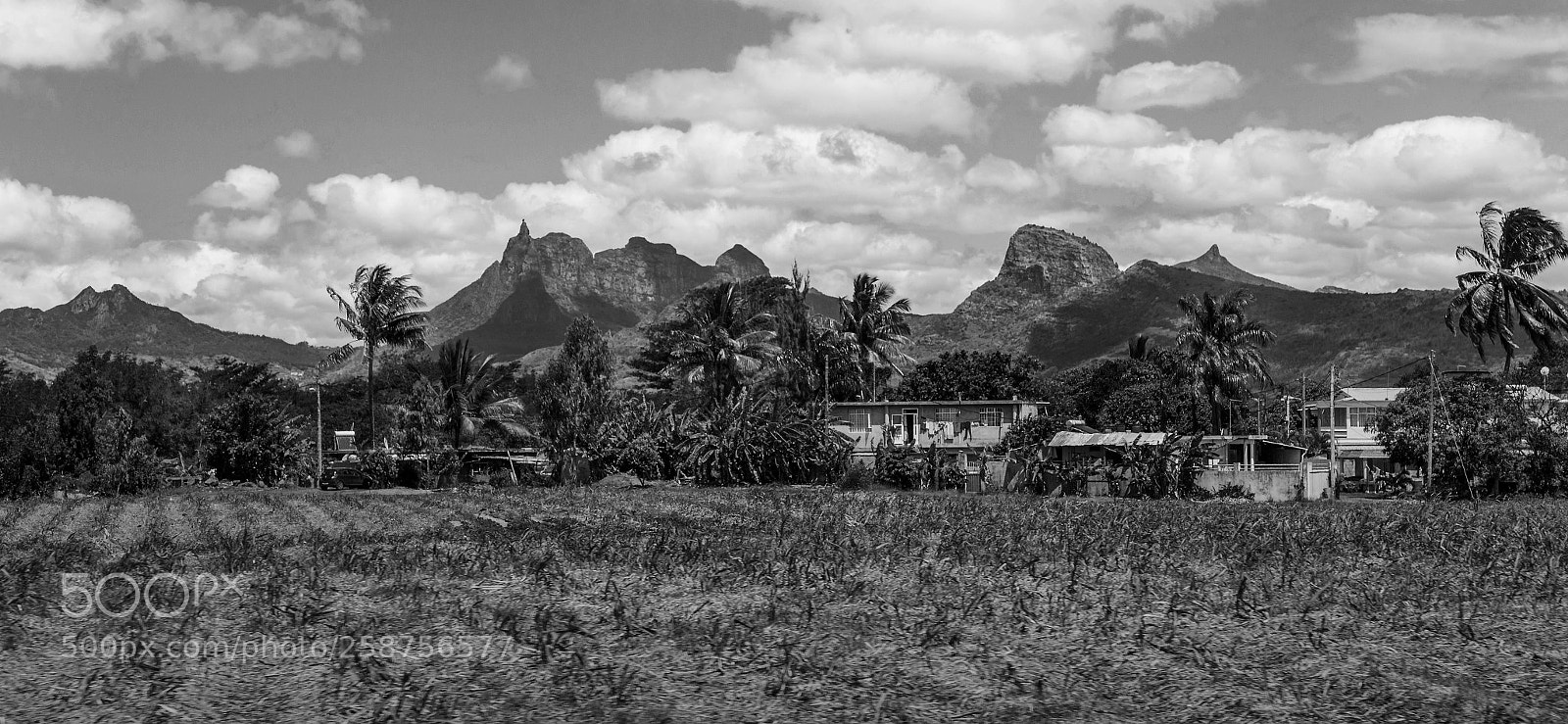 Canon EOS 6D sample photo. At the base of photography