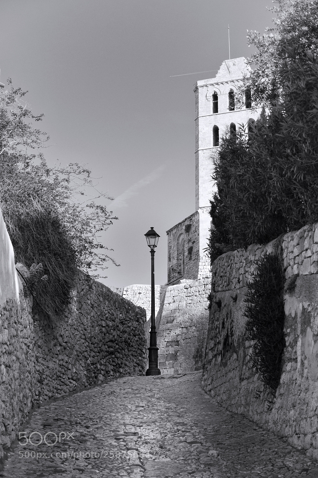 Nikon D500 sample photo. Ibiza town i photography