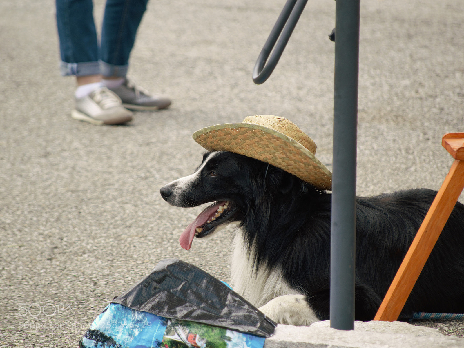 Nikon D3200 sample photo. Untitled photography