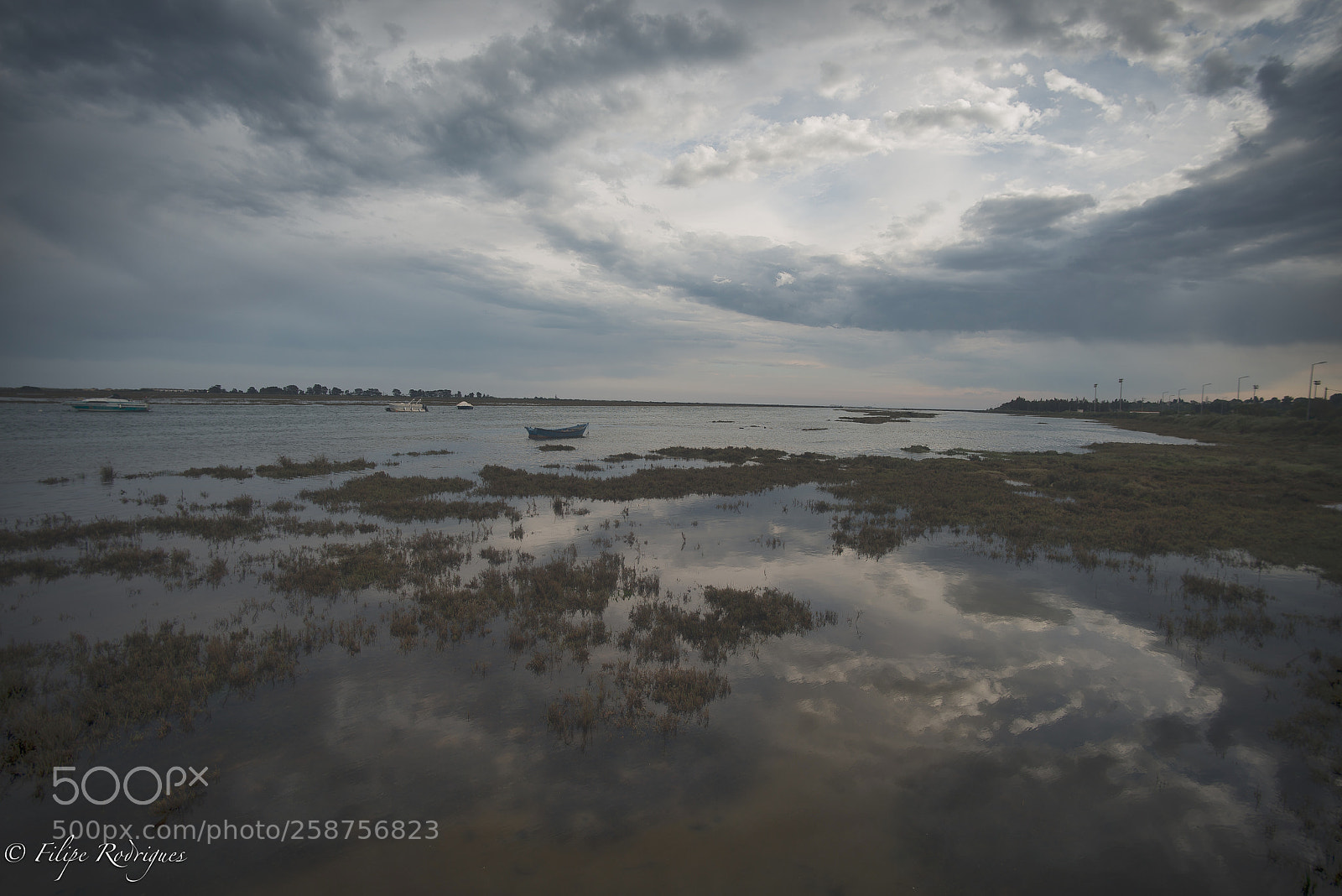 Nikon D800E sample photo. Coastal marshes photography