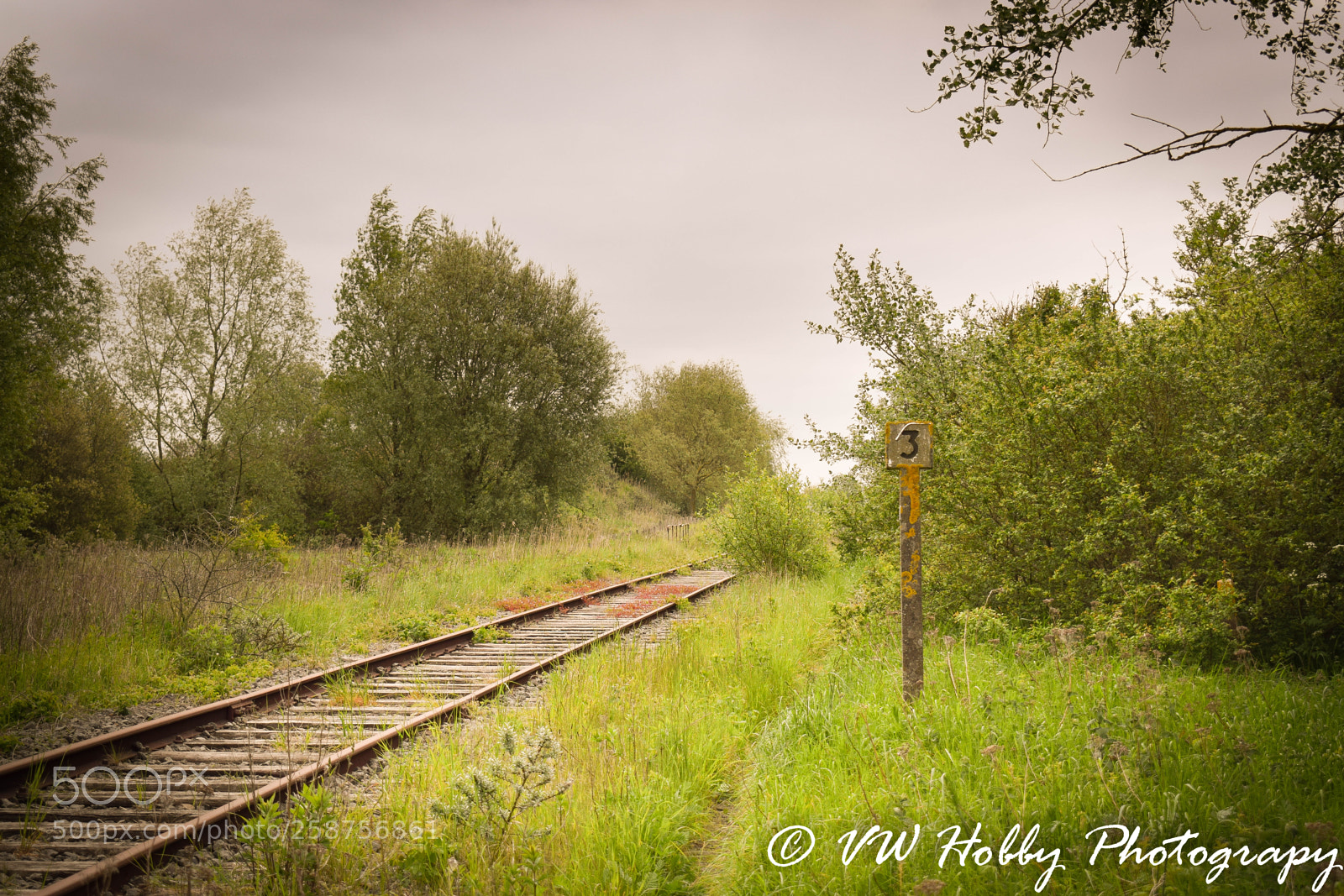 Nikon D3300 sample photo. Railway line 73 photography