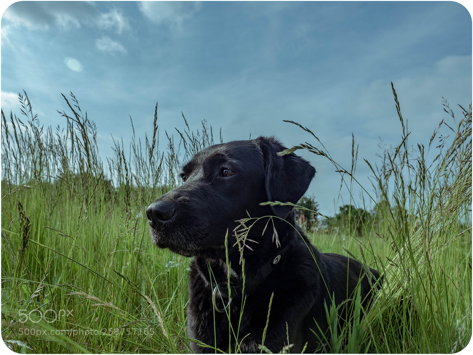 Olympus OM-D E-M5 II sample photo. Meine dicke ❤ photography