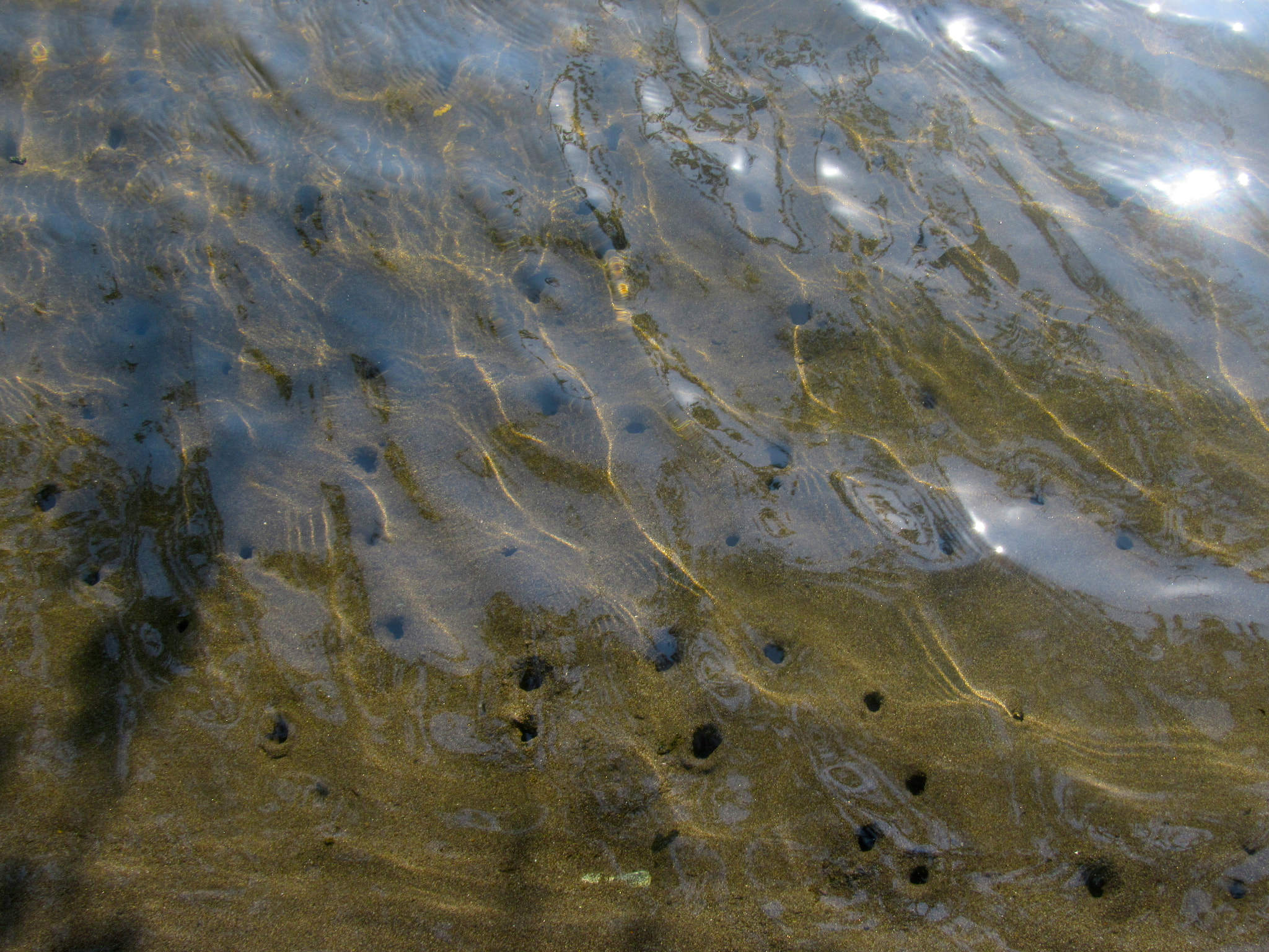 Canon PowerShot SX520 HS sample photo. Estero photography