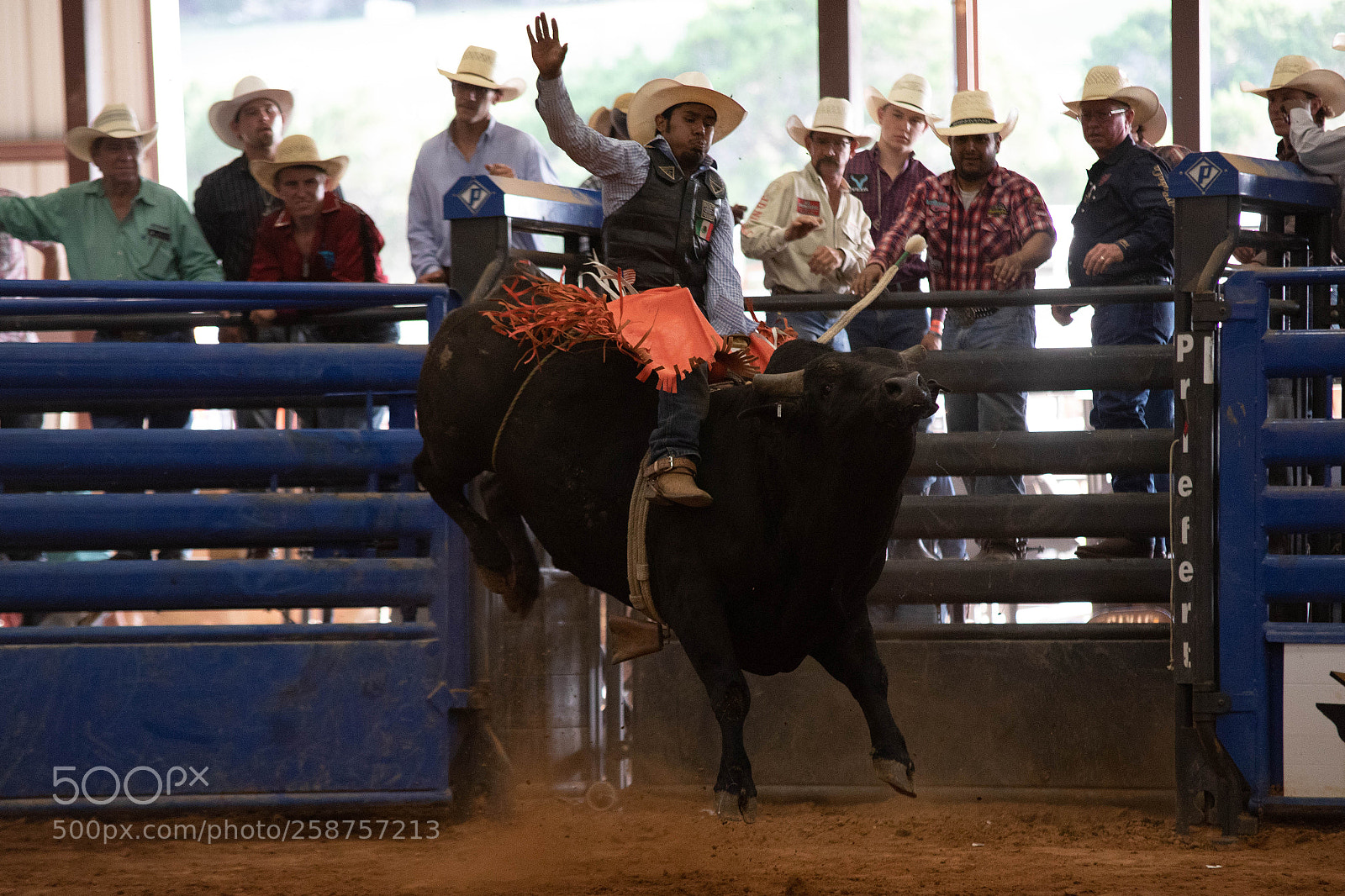 Canon EOS 5D Mark IV sample photo. The ride photography