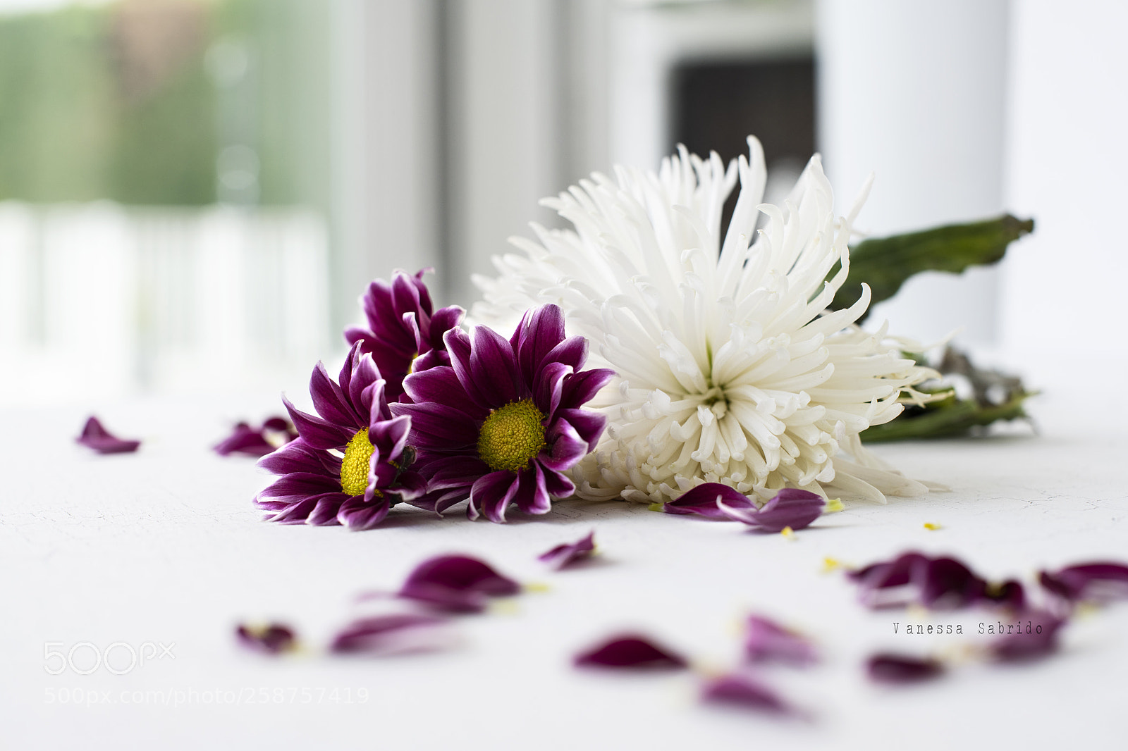 Nikon D850 sample photo. Flowers  photography