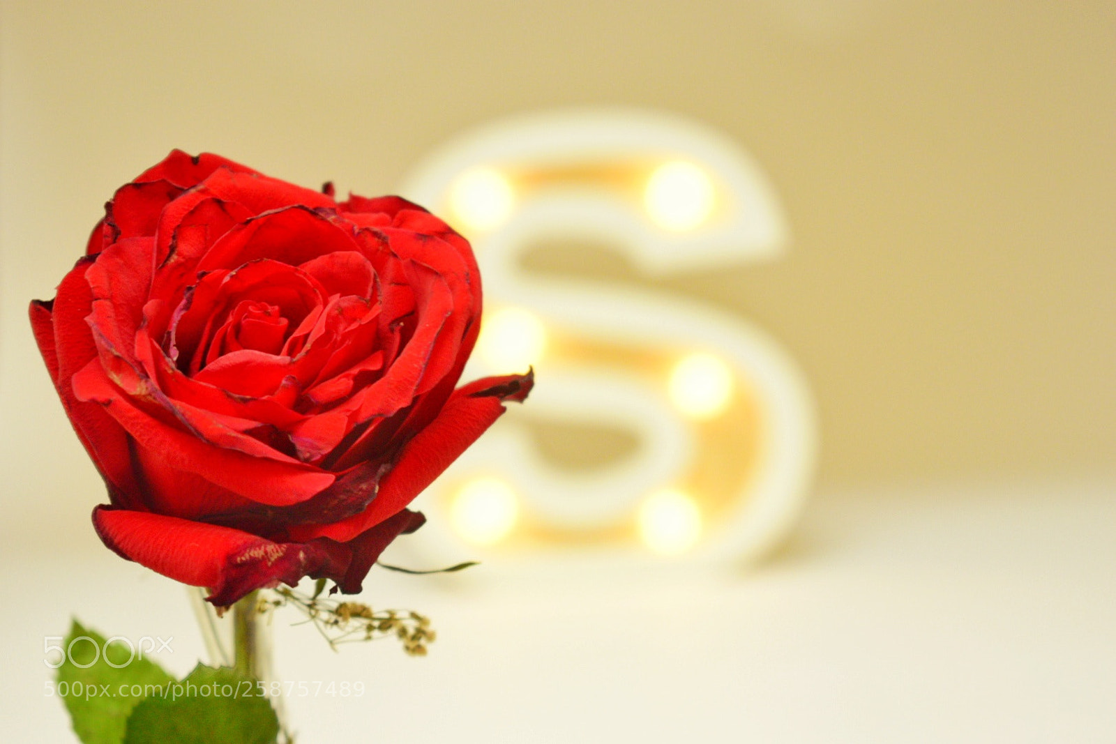 Nikon D5300 sample photo. Untitled photography