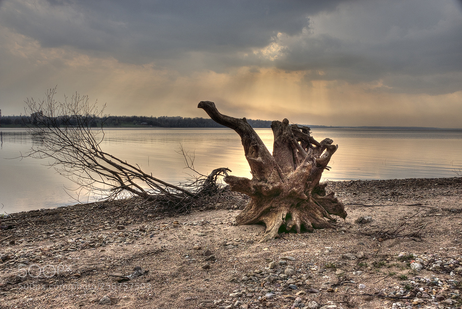Sony SLT-A77 sample photo. Painterly копия photography