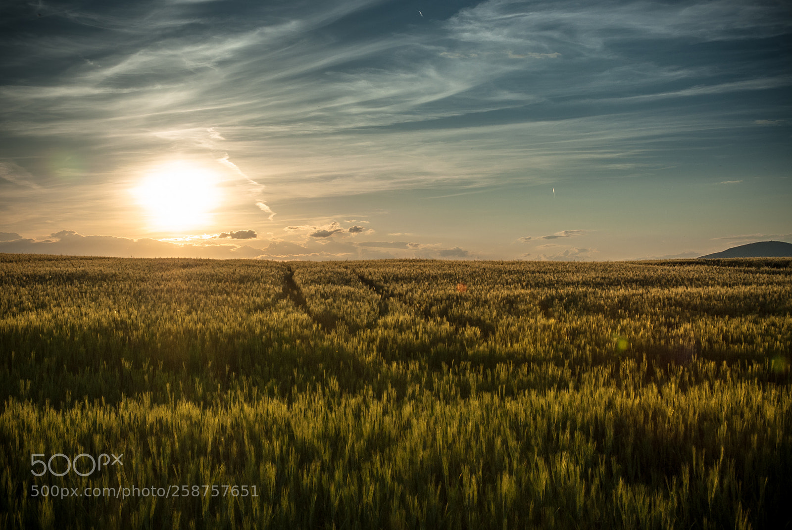 Nikon D200 sample photo. Sunset photography