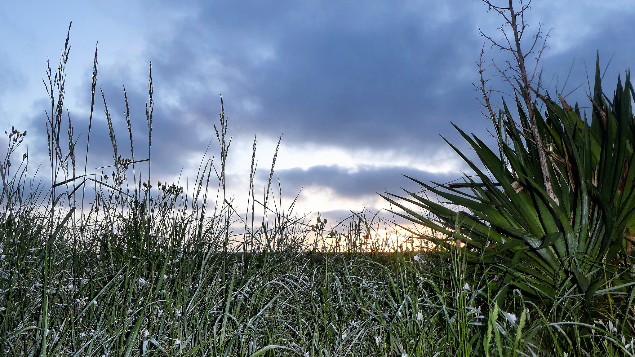 Panasonic Lumix DMC-ZS60 (Lumix DMC-TZ80) sample photo. Sunrise in the fields photography