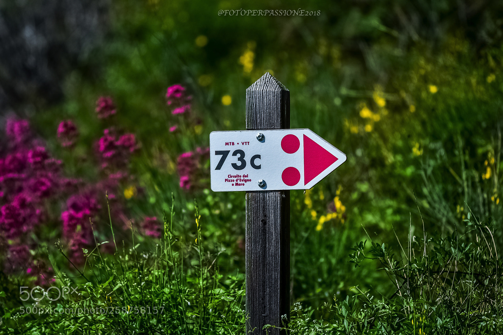 Nikon D750 sample photo. Il fascino della natura  photography