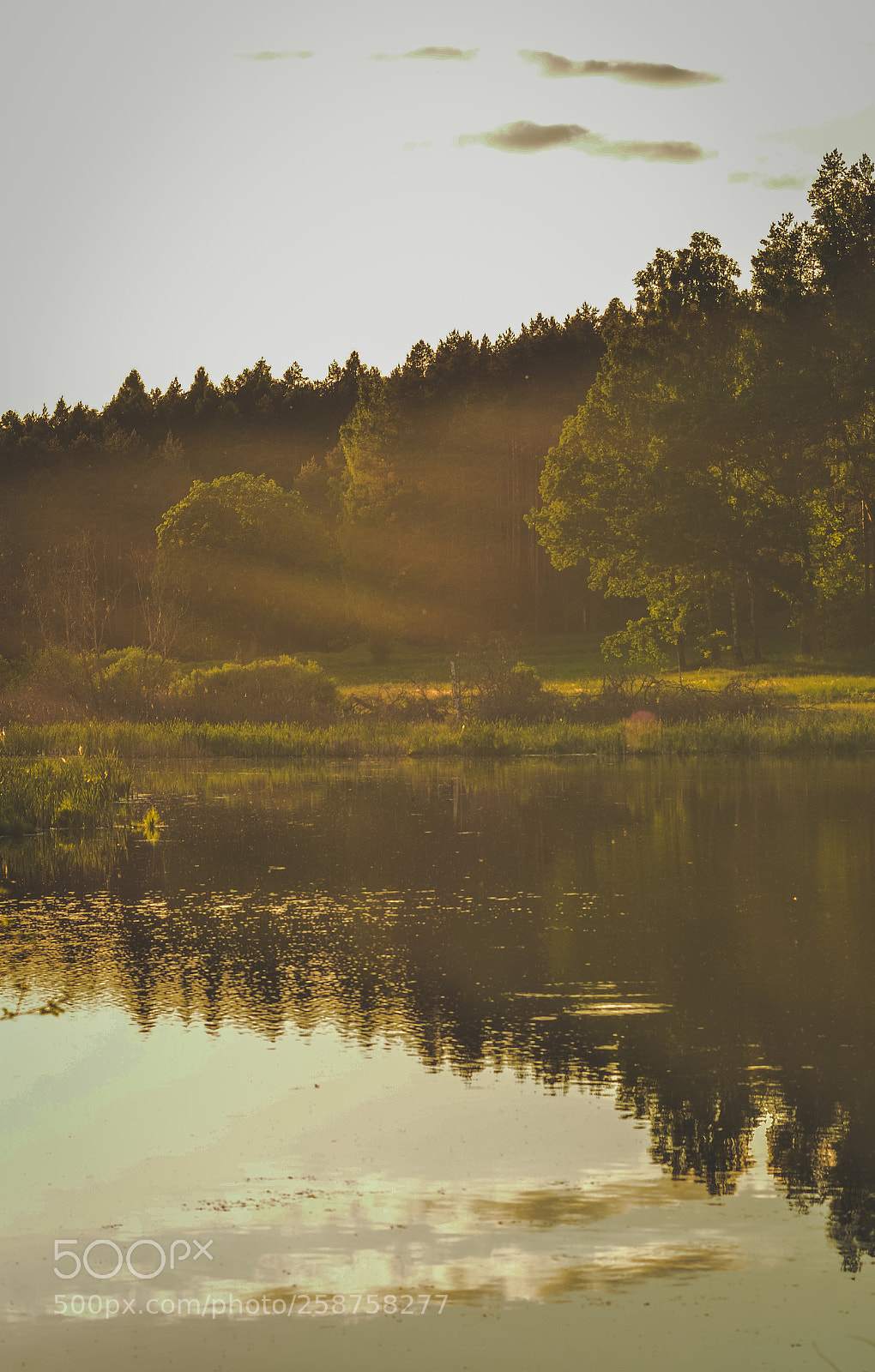 Nikon D7000 sample photo. Sunset in szelągowo photography