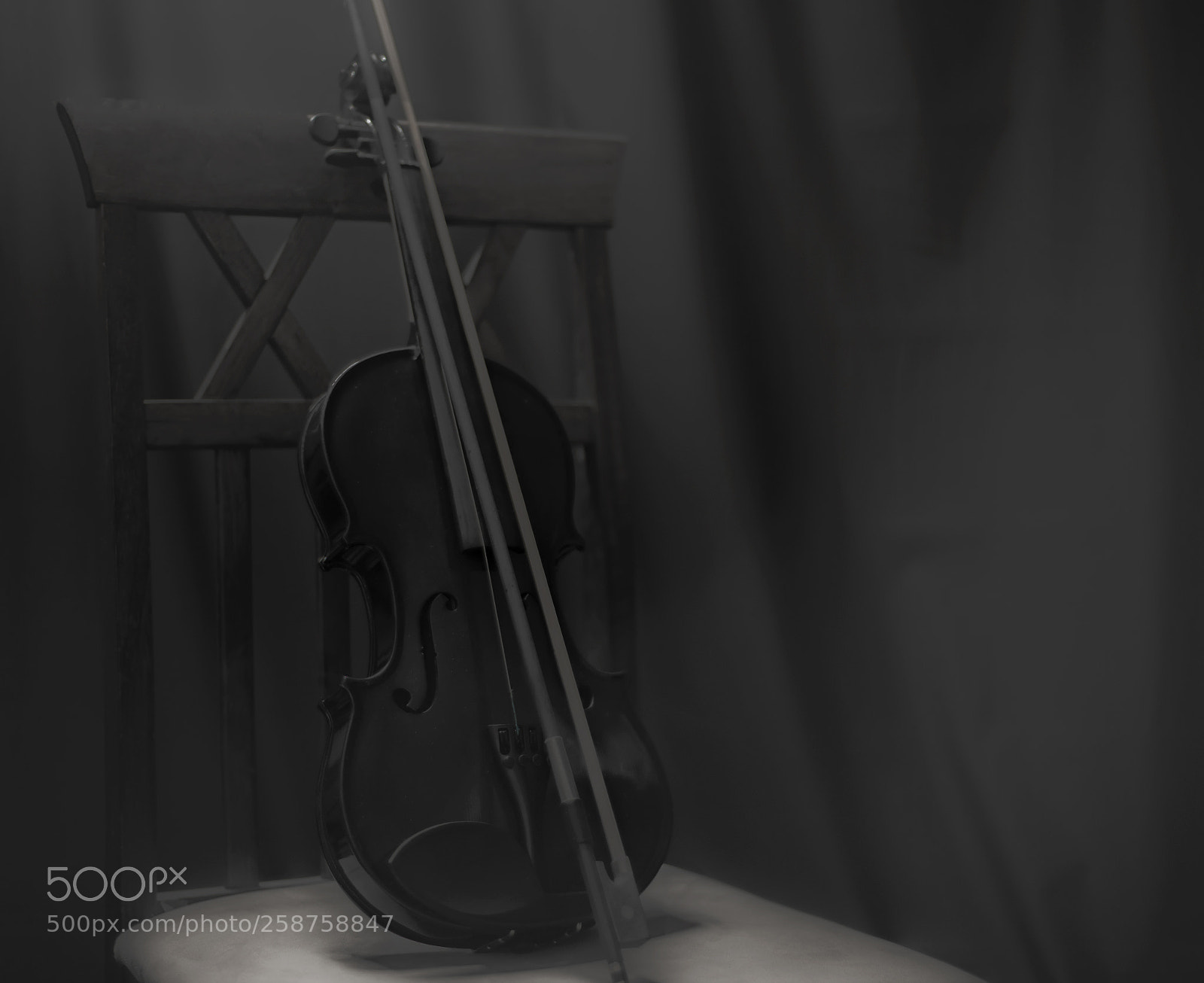 Nikon D610 sample photo. Violin photography