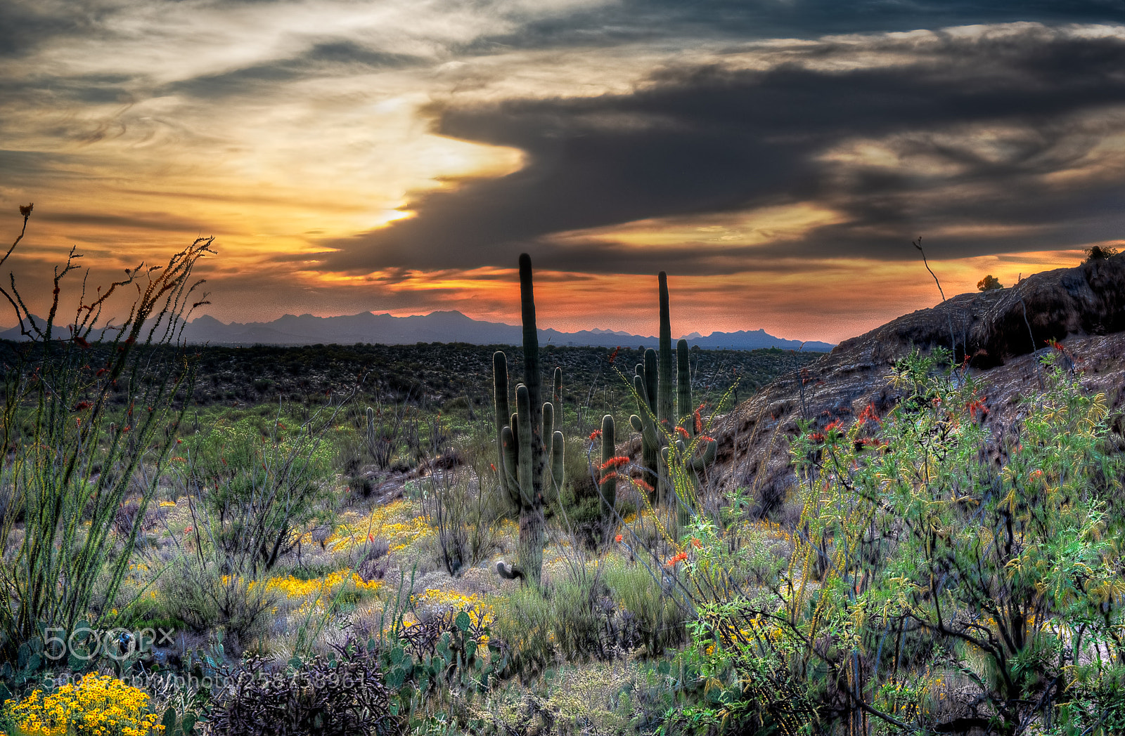 Nikon D750 sample photo. Desert sunset photography