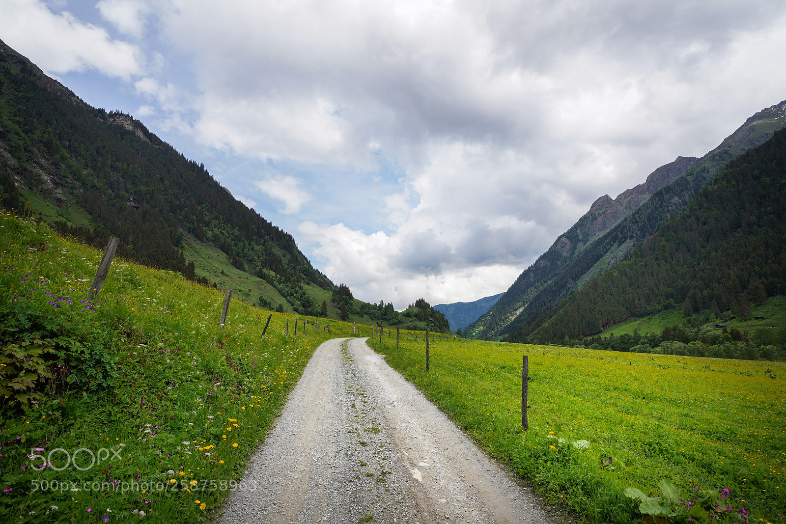 Sony a7R III sample photo. Untitled photography