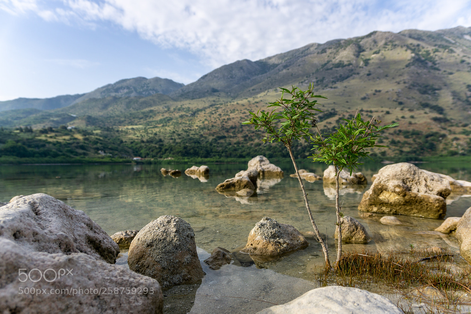 Sony a6000 sample photo. New view of the photography