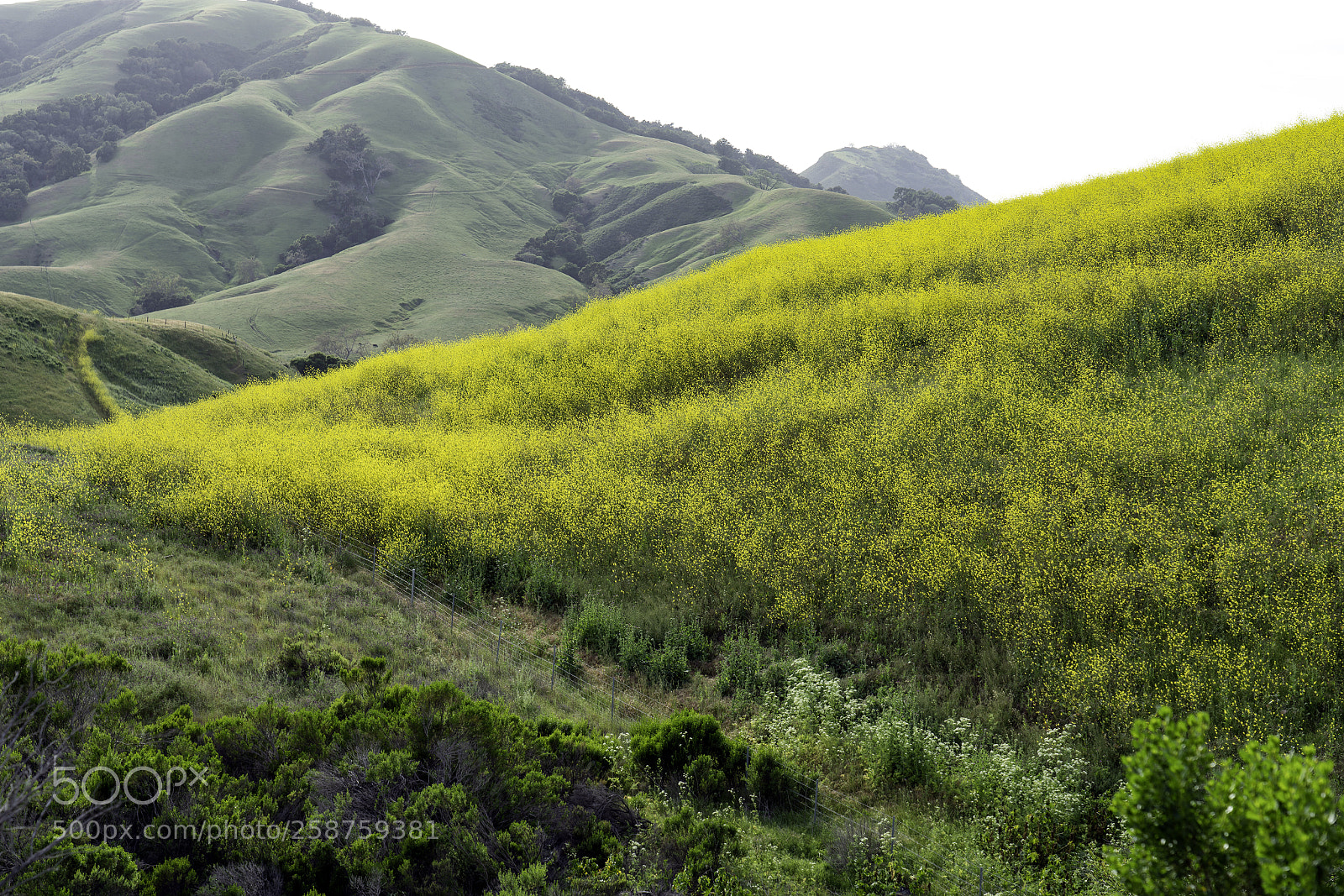 Sony a7R II sample photo. Rural landscape photography