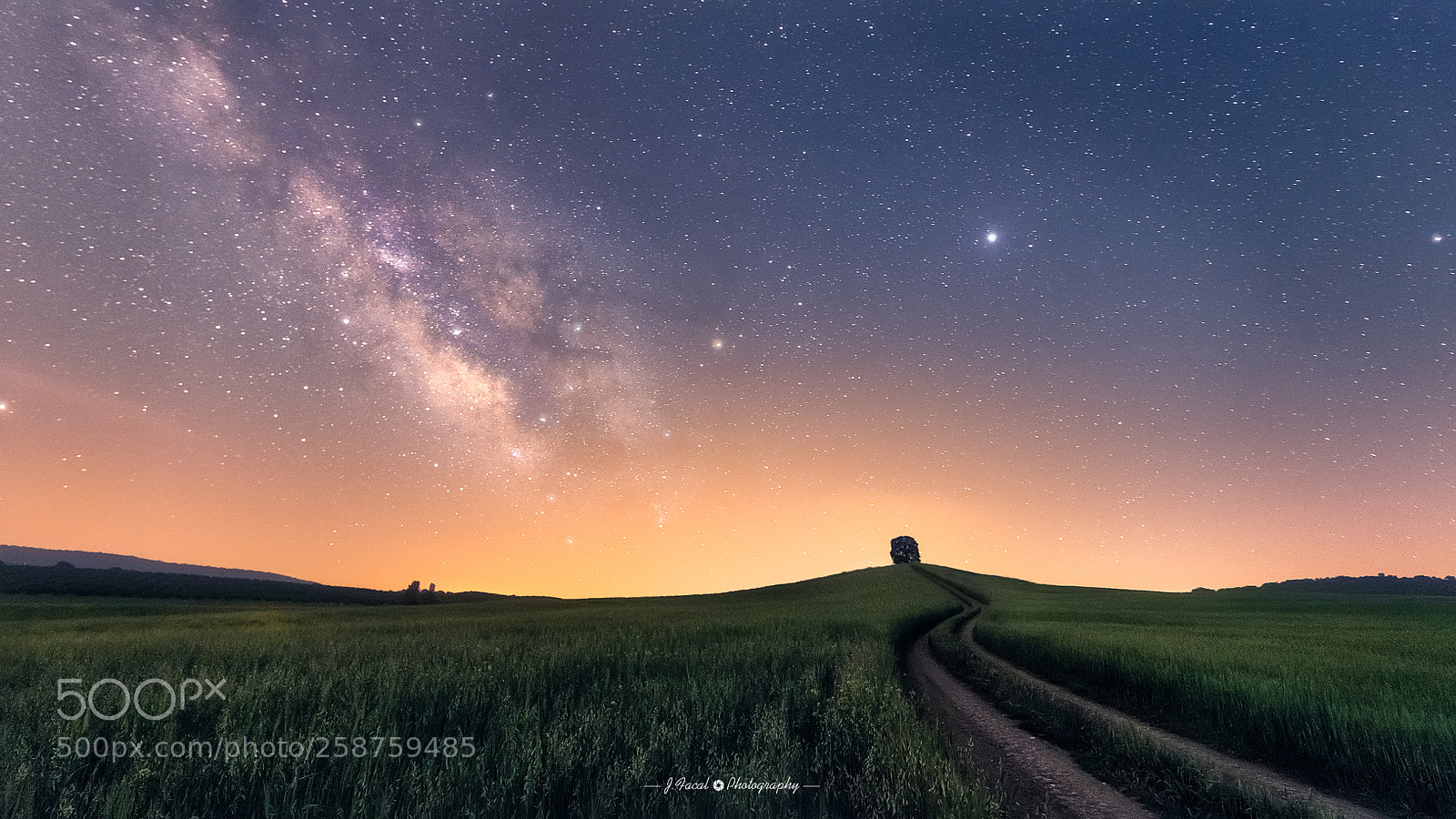 Nikon D800 sample photo. Way to the stars photography