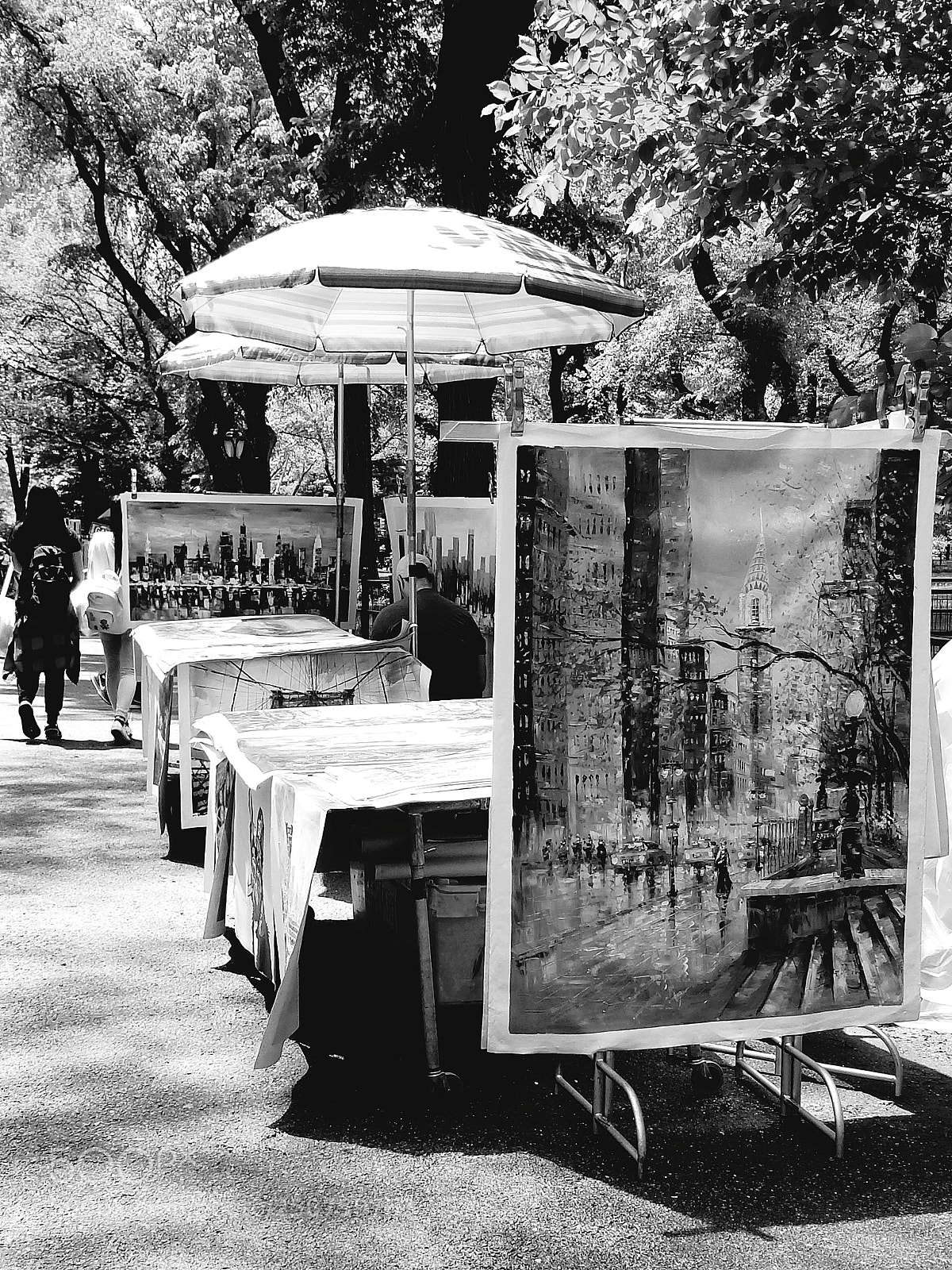 Samsung Galaxy S8+ sample photo. Park artist photography