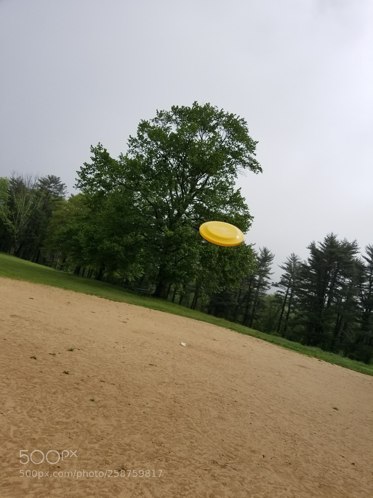 Samsung Galaxy S8 sample photo. Flying in the wind photography