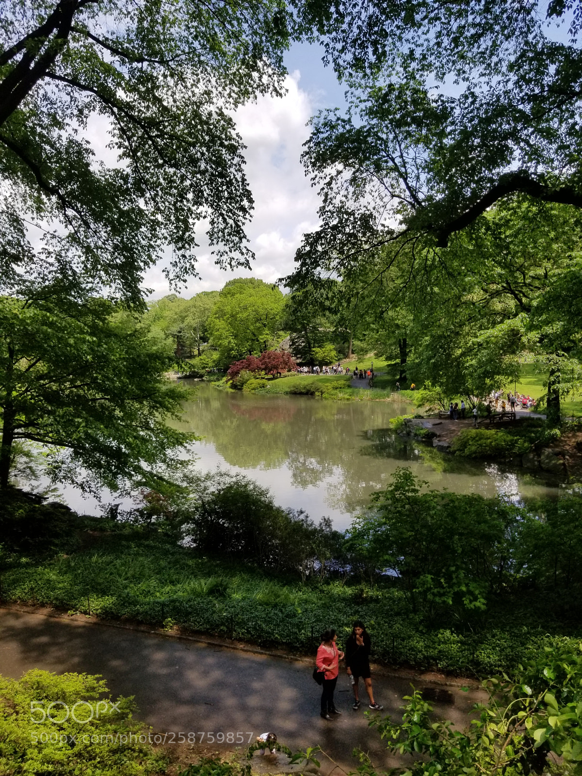 Samsung Galaxy S8+ sample photo. Untitled photography