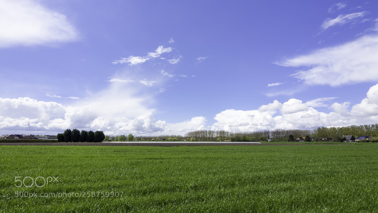 Olympus OM-D E-M10 sample photo. Fresh start photography
