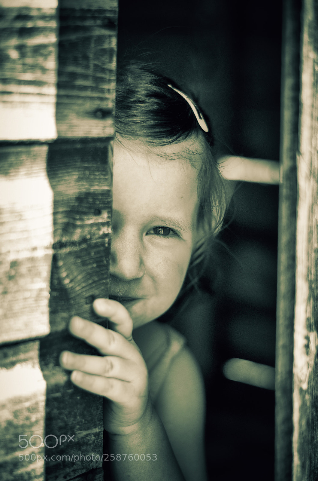 Nikon D5100 sample photo. Untitled photography