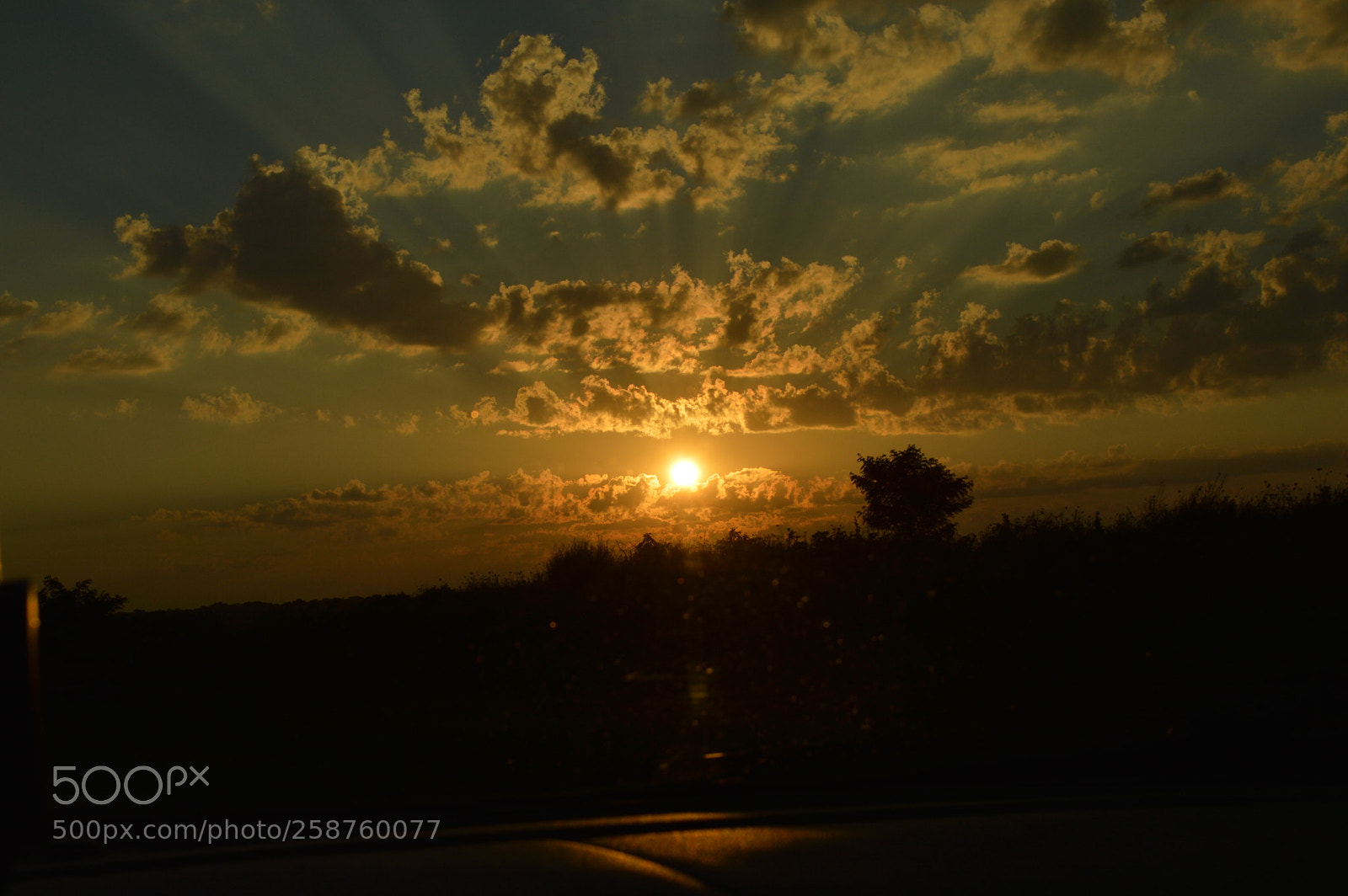 Nikon D3200 sample photo. Untitled photography